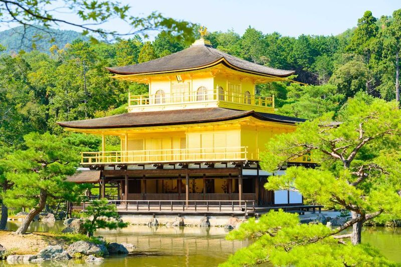 Kyoto Kinkaku-ji, Kiyomizu-dera, Fushimi Inari-taisha One-Day Tour - A practical way to see Kyoto’s far-apart icons