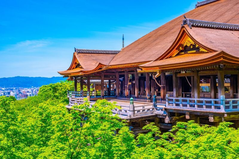 Kyoto Kinkaku-ji, Kiyomizu-dera, Fushimi Inari-taisha One-Day Tour - Fushimi Inari-taisha: a memorable final stop