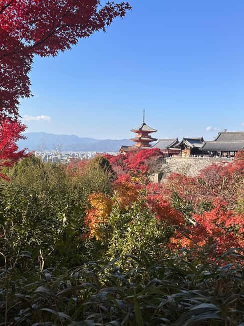Kyoto: Kiyomizudera, Sanjusangendo, Kodaiji, and Gion. - Exploring Kyoto’s Spiritual and Cultural Core in a Day