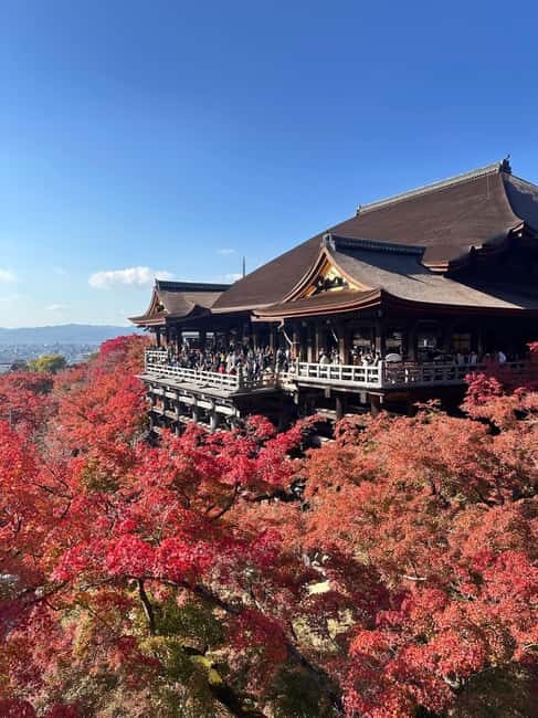 Kyoto: Kiyomizudera, Sanjusangendo, Kodaiji, and Gion. - Transportation, Timing, and Practicalities