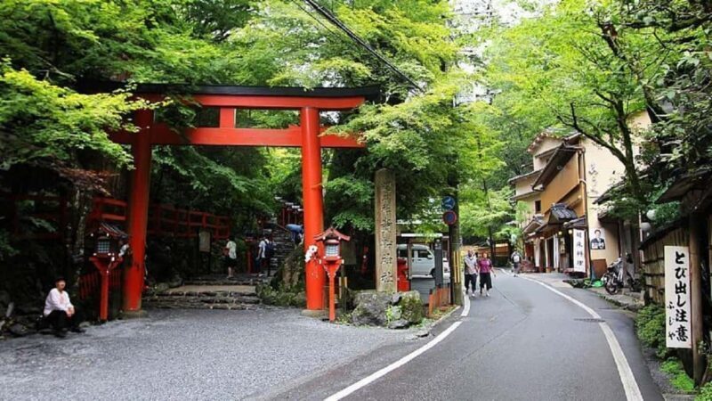 Kyoto: Kurama, Kibune, and Ohara Private Tour for Couples - Who Should Consider This Tour?