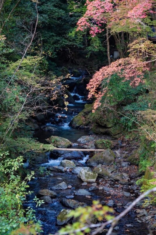 Kyoto, Kurama: KURAMA Onsen Admission Ticket - The best way to fit it into your day