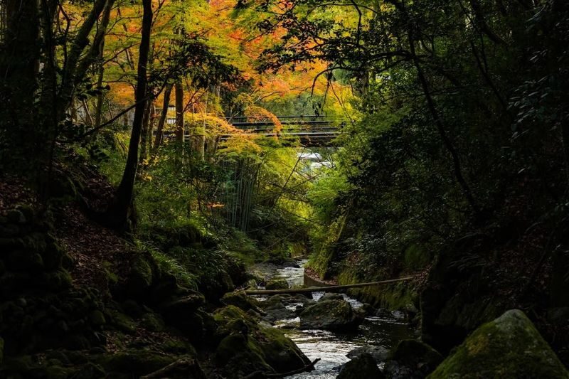 Kyoto, Kurama: KURAMA Onsen Admission Ticket - Who will enjoy Kurama Onsen most
