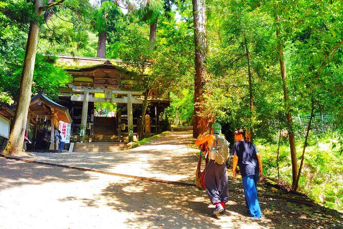 Kyoto: Kurama Temple and Mountain Legends Guided Hike - The Practicalities: What You Should Know