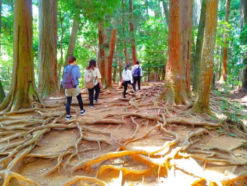 Kyoto: Kurama Temple and Mountain Legends Guided Hike - Why This Tour Is Worth It