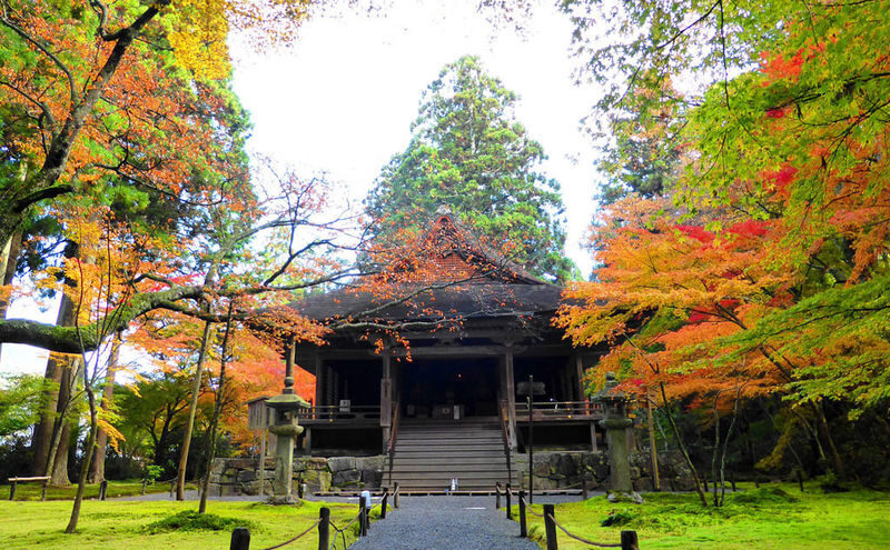 Kyoto Luxury Private Car Charter - Exploring Japanese Style - Arashiyama opens with bamboo and river views