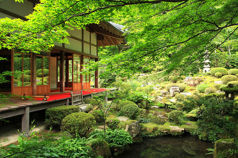 Kyoto Luxury Private Car Charter - Exploring Japanese Style - Fushimi Inari asks for a walking plan