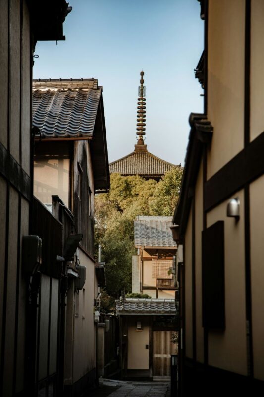 Kyoto Luxury Private Car Charter - Exploring Japanese Style - Sanjusangen-do and Kiyomizu-dera reward different kinds of attention