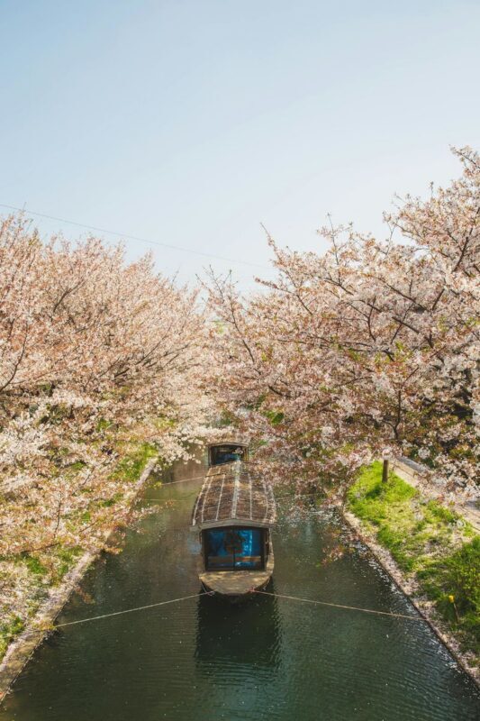 Kyoto Luxury Private Car Charter - Exploring Japanese Style - The driver can make or break a long day