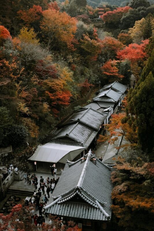 Kyoto Luxury Private Car Charter - Exploring Japanese Style - The price makes most sense for a group