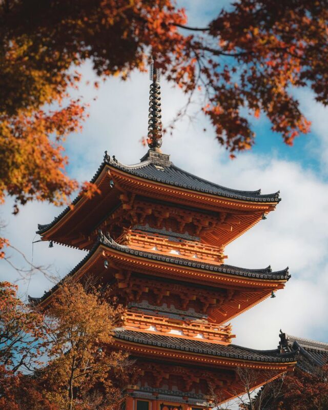 Kyoto Luxury Private Car Charter - Exploring Japanese Style - Should you book this Kyoto charter?