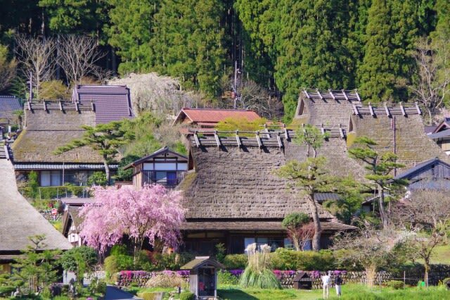 Kyoto Miyama Light-up, Amanohashidate Tour from Osaka - Who should book this northern Kyoto trip?