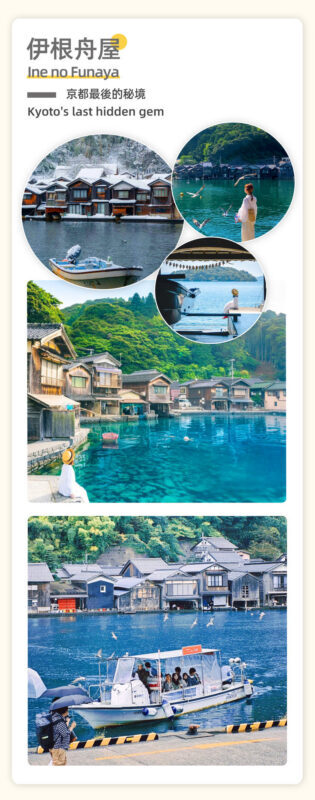 Kyoto Miyama Old Gassho Village Tour: Ine Boathouse & Amanohashidate & Chionji Temple & Miyama Kayabuki Gassho Village Day Trip (Departing from Osaka) - Who will enjoy this day most