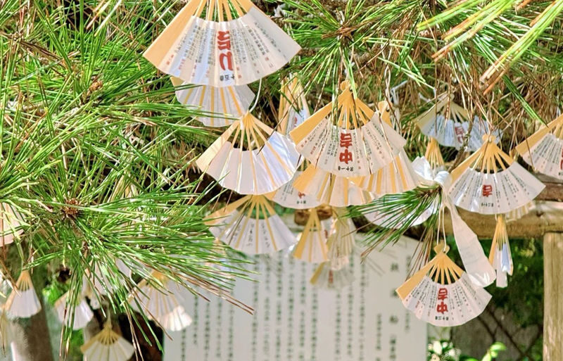 Kyoto Miyama Thatched Village & Amanohashidate & Ine Funaya One-Day Tour [Limited Miyama Water Release Ceremony/Snow Lantern Lighting] | Depart from Osaka - Should you book?