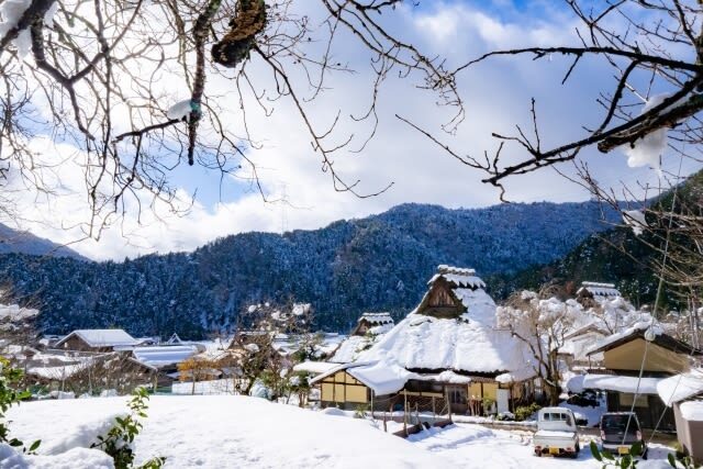 Kyoto Miyama Thatched Village Winter Lanterns Tour from Osaka - What the English-speaking guide adds