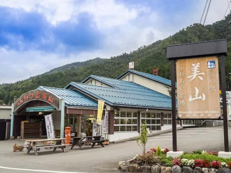 Kyoto: Miyama Village, Amanohashidate & Ine Bay Day Trip - Practical Details and What They Mean for You