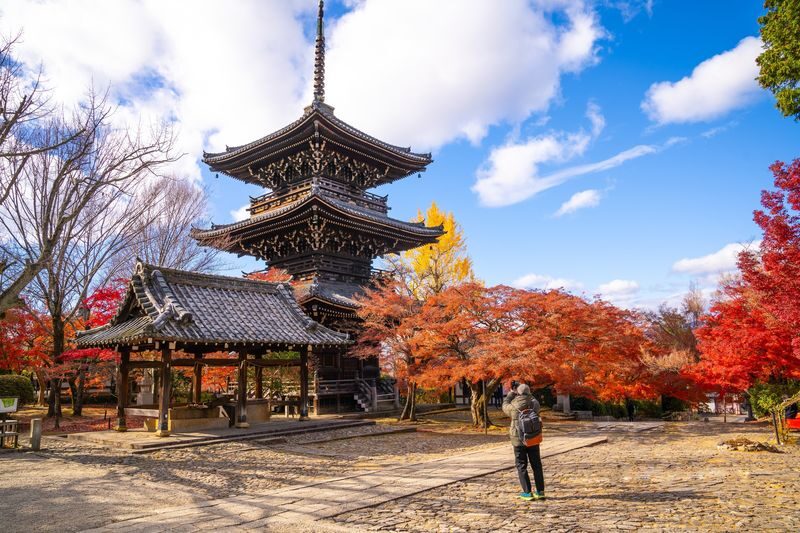 Kyoto Morning City Highlights Small Group Tour - Arashiyama Bamboo Forest: a strong name, but confirm the stop