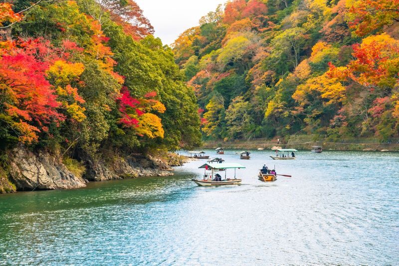 Kyoto Morning City Highlights Small Group Tour - Is $69 fair value?