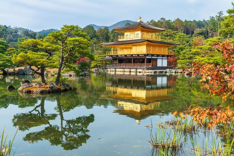 Kyoto Morning City Highlights Small Group Tour - Should you book the Kyoto morning tour?