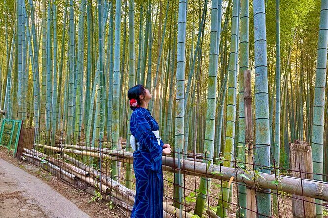 Kyoto Morning Highlights: Fushimi Inari, Kiyomizu-dera & Gion - Wrapping It Up