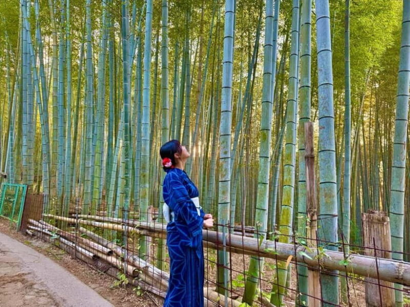 Kyoto Morning Highlights Tour: Fushimi, Kiyomizu-dera & Gion - FAQ