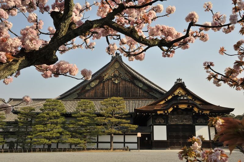 Kyoto Morning Tour: Kinkaku-ji, Nijo Castle & Imperial Palace - What the guide adds, and how the pace feels