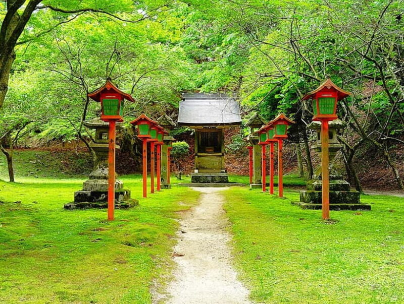 Kyoto: Mount Hiei Guided Tour  Mother of Japanese Buddhism - Key Points
