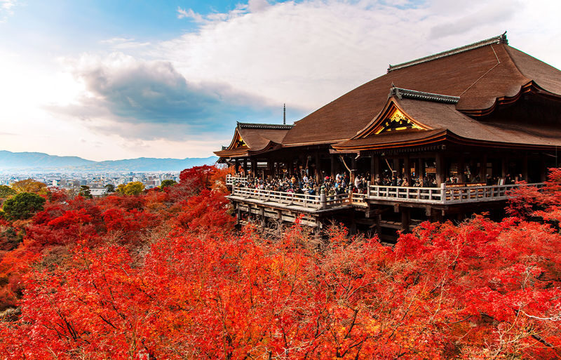 Kyoto & Nara & Amanohashidate 2-Day Tour - Free Shrimp Sticks for Feeding Seagulls (Accommodation Not Included) - Day 1: Kiyomizu-dera, shrine gates and Nara deer