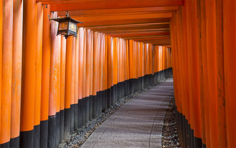 Kyoto & Nara & Amanohashidate 2-Day Tour - Free Shrimp Sticks for Feeding Seagulls (Accommodation Not Included) - Group size, guide support and walking