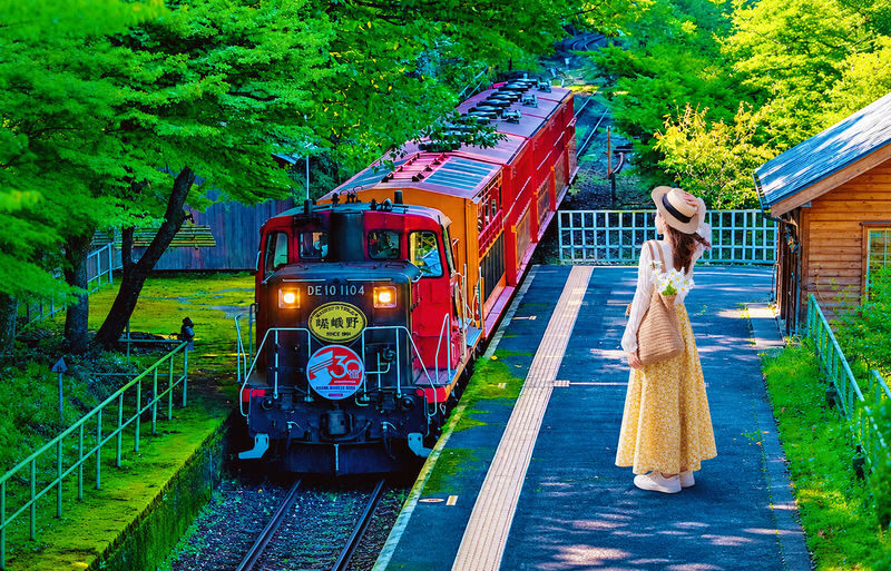 Kyoto Nara Arashiyama Day Trip | Nara Park Deer Feeding & Fushimi Inari Shrines Thousand Torii Gates & Arashiyama Scenic Railway & Bamboo Forest Path | Kyoto or Osaka Drop-off - The day in six useful points