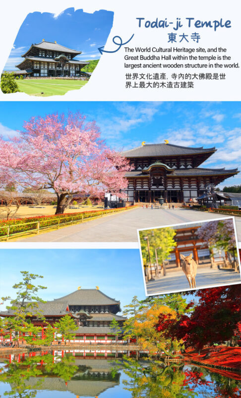 Kyoto Nara Arashiyama Day Trip | Nara Park Deer Feeding & Fushimi Inari Shrines Thousand Torii Gates & Arashiyama Scenic Railway & Bamboo Forest Path | Kyoto or Osaka Drop-off - Fushimi Inari: walk as far as the clock allows