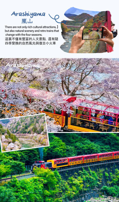Kyoto Nara Arashiyama Day Trip | Nara Park Deer Feeding & Fushimi Inari Shrines Thousand Torii Gates & Arashiyama Scenic Railway & Bamboo Forest Path | Kyoto or Osaka Drop-off - Is the pace and price right for you?