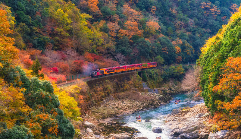 Kyoto Nara Arashiyama Day Trip | Nara Park Deer Feeding & Fushimi Inari Shrines Thousand Torii Gates & Arashiyama Scenic Railway & Bamboo Forest Path | Kyoto or Osaka Drop-off - Should you book this Kyoto and Nara day trip?