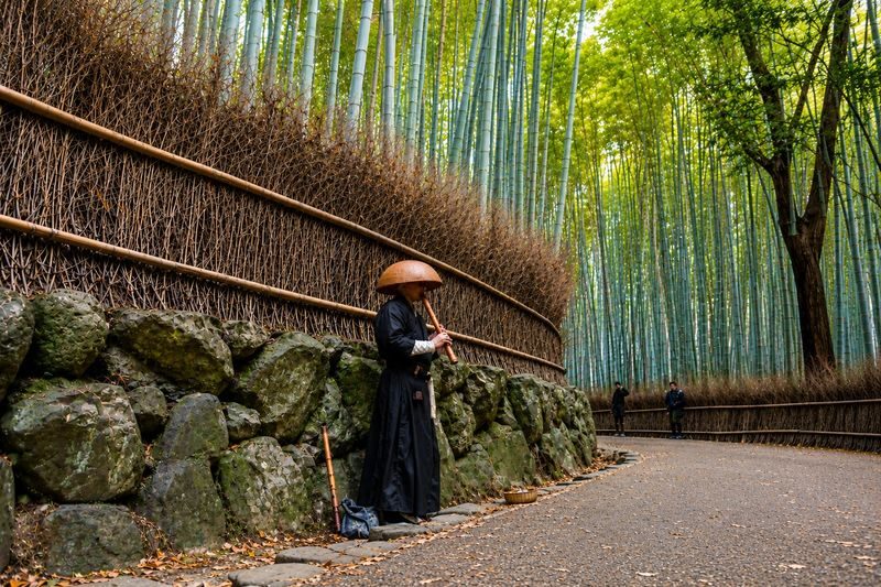 Kyoto Nara Classic Day Trip: Katsuoji Temple Daruma Wall & Arashiyama Bamboo Grove & Nara Park (Departing from Osaka) - Price, pace and what is not included