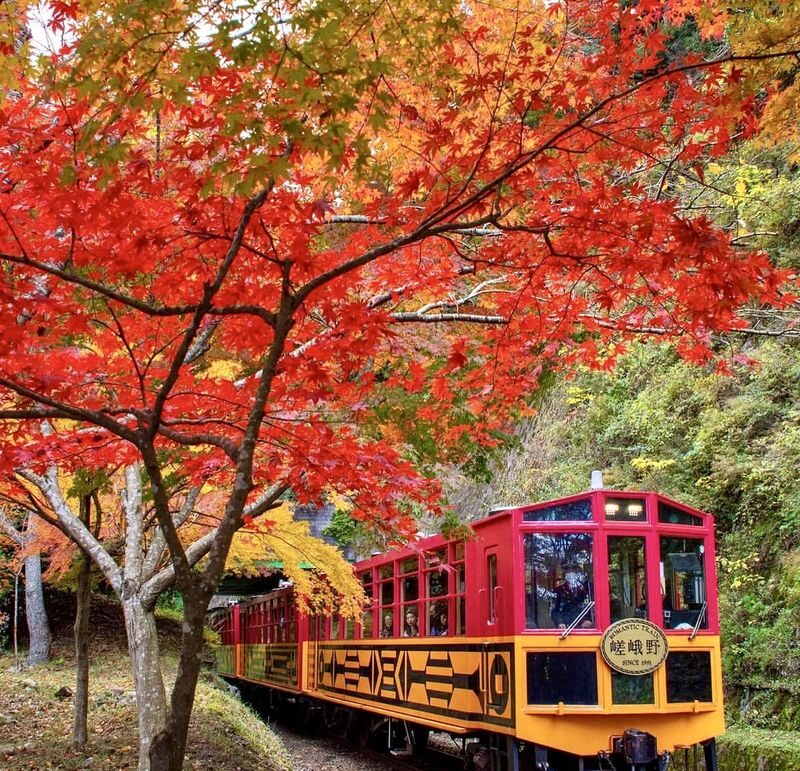 [Kyoto & Nara Day Tour] Sagano Scenic Railway & Nara Park & Fushimi Inari Taisha Thousand Torii Gates & Togetsukyo Bridge & Bamboo Grove & Kimono Forest (Departing from Osaka) - Arashiyama: bridge, bamboo and room to wander