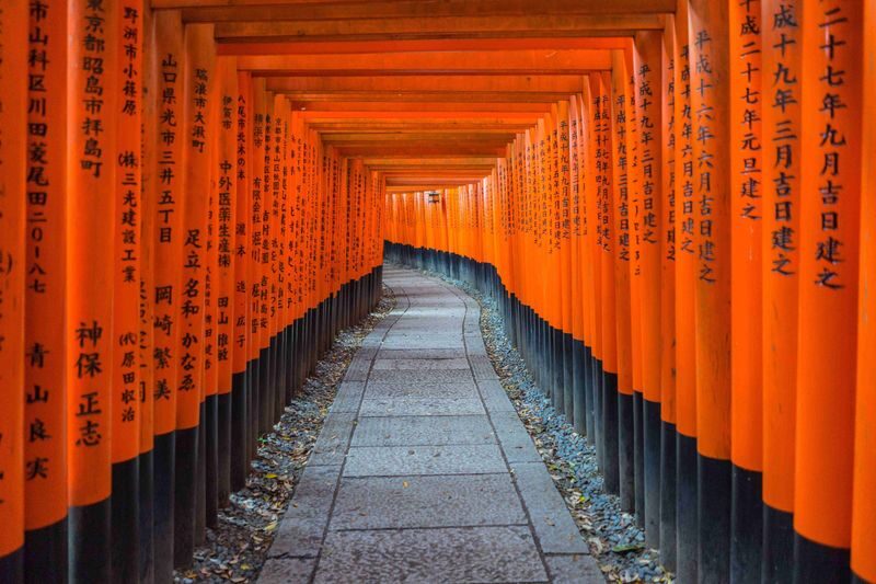 [Kyoto & Nara Day Tour] Sagano Scenic Railway & Nara Park & Fushimi Inari Taisha Thousand Torii Gates & Togetsukyo Bridge & Bamboo Grove & Kimono Forest (Departing from Osaka) - Sagano Scenic Railway: a worthwhile extra, with caveats