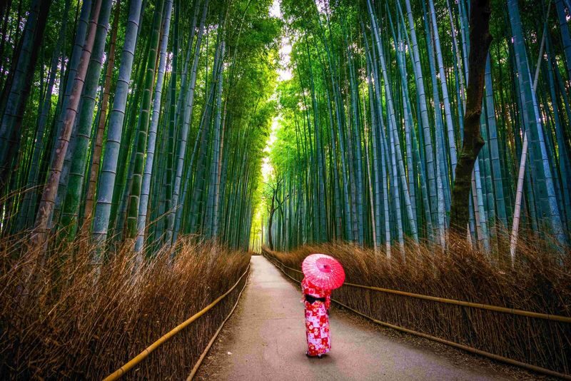 [Kyoto & Nara Day Tour] Sagano Scenic Railway & Nara Park & Fushimi Inari Taisha Thousand Torii Gates & Togetsukyo Bridge & Bamboo Grove & Kimono Forest (Departing from Osaka) - What the guide and bus add to the day