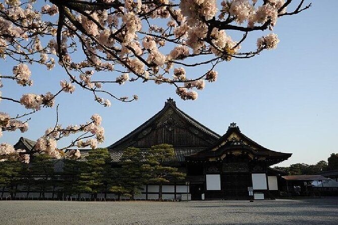 Kyoto & Nara Day Trip - Golden Pavilion & Todaiji from Kyoto - The Sum Up: Who Will Love This Tour?