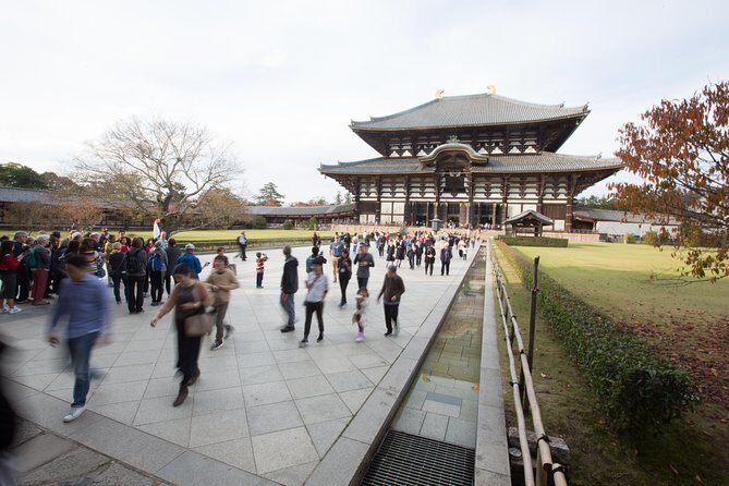 Kyoto & Nara Day Trip - Golden Pavilion & Todaiji from Kyoto - FAQ
