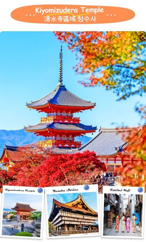 Kyoto Nara Day Trip | Kiyomizu-dera Temple + Fushimi Inari-taisha Shrine + Nara Park (Departing from Osaka/Kyoto) - Lunch, guide support and the shared-bus rhythm