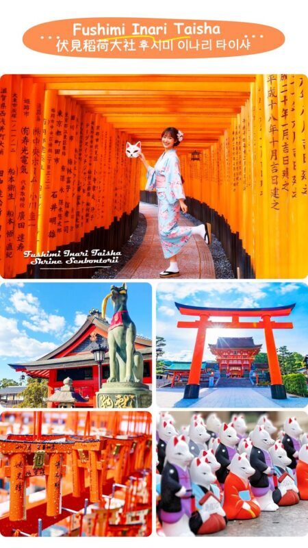 Kyoto Nara Day Trip | Kiyomizu-dera Temple + Fushimi Inari-taisha Shrine + Nara Park (Departing from Osaka/Kyoto) - Who should book this Kyoto and Nara day trip?