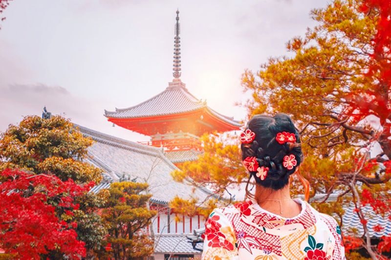 Kyoto Nara Day Trip [with Fried Chicken Set Meal] - Kiyomizu-dera Temple, Fushimi Inari-taisha Shrine, Nara Park, Todai-ji Temple Day Trip (Pick-up available in Osaka and Kyoto) - A fast route through Kyoto and Nara