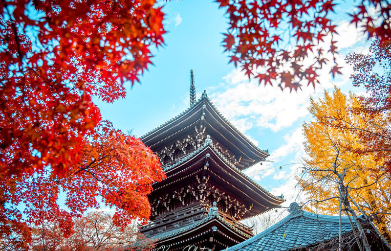 Kyoto Nara Day Trip [with Fried Chicken Set Meal] - Kiyomizu-dera Temple, Fushimi Inari-taisha Shrine, Nara Park, Todai-ji Temple Day Trip (Pick-up available in Osaka and Kyoto) - Kiyomizu-dera and its high wooden stage