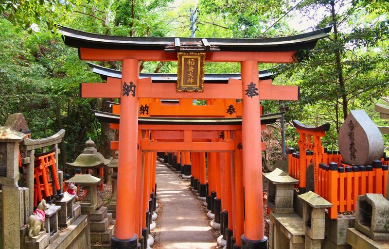 Kyoto Nara Day Trip [with Fried Chicken Set Meal] - Kiyomizu-dera Temple, Fushimi Inari-taisha Shrine, Nara Park, Todai-ji Temple Day Trip (Pick-up available in Osaka and Kyoto) - Timing, comfort and booking details