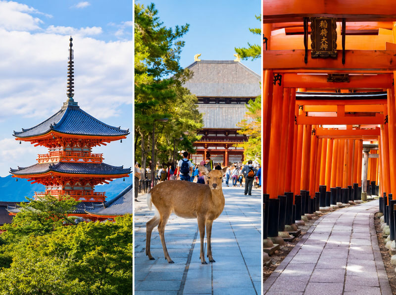 Kyoto & Nara Full-Day Private Customizable Tour - A private day built around your priorities