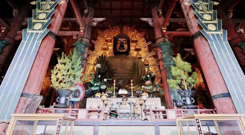 Kyoto & Nara Full-Day Private Customizable Tour - Nara: time for a second historic city