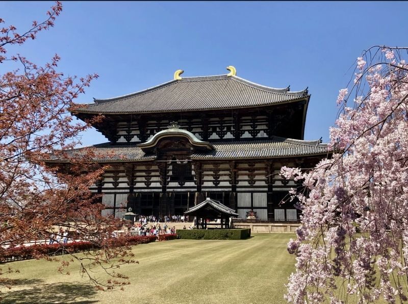 Kyoto & Nara Full-Day Private Customizable Tour - Uji as an optional addition