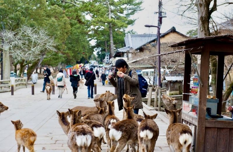 Kyoto & Nara Full-Day Private Customizable Tour - The guides shape the day