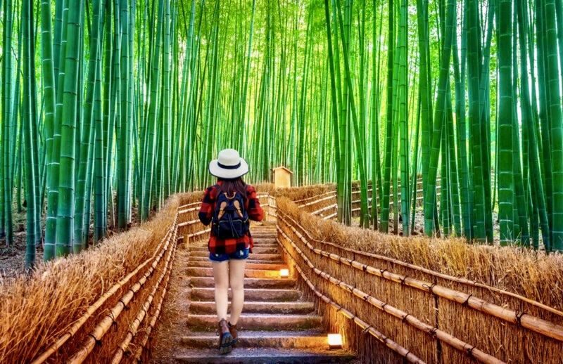 Kyoto & Nara Full-Day Private Customizable Tour - Is $384.69 good value?