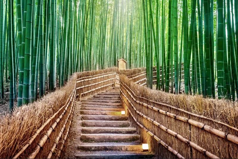 Kyoto & Nara Full-Day Private Customizable Tour - Who should book this tour?